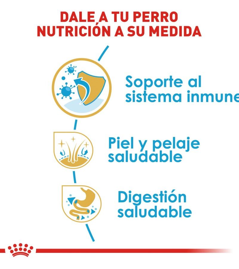 Royal Canin Cachorro Raza Shih Tzu, 1.1 kg - Imagen 8