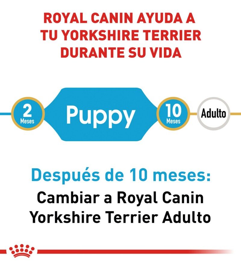 Royal Canin Cachorro Yorkshire Terrier, 1.1 kg - Imagen 4