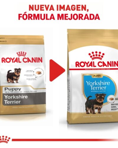 Royal Canin Cachorro Yorkshire Terrier, 1.1 kg
