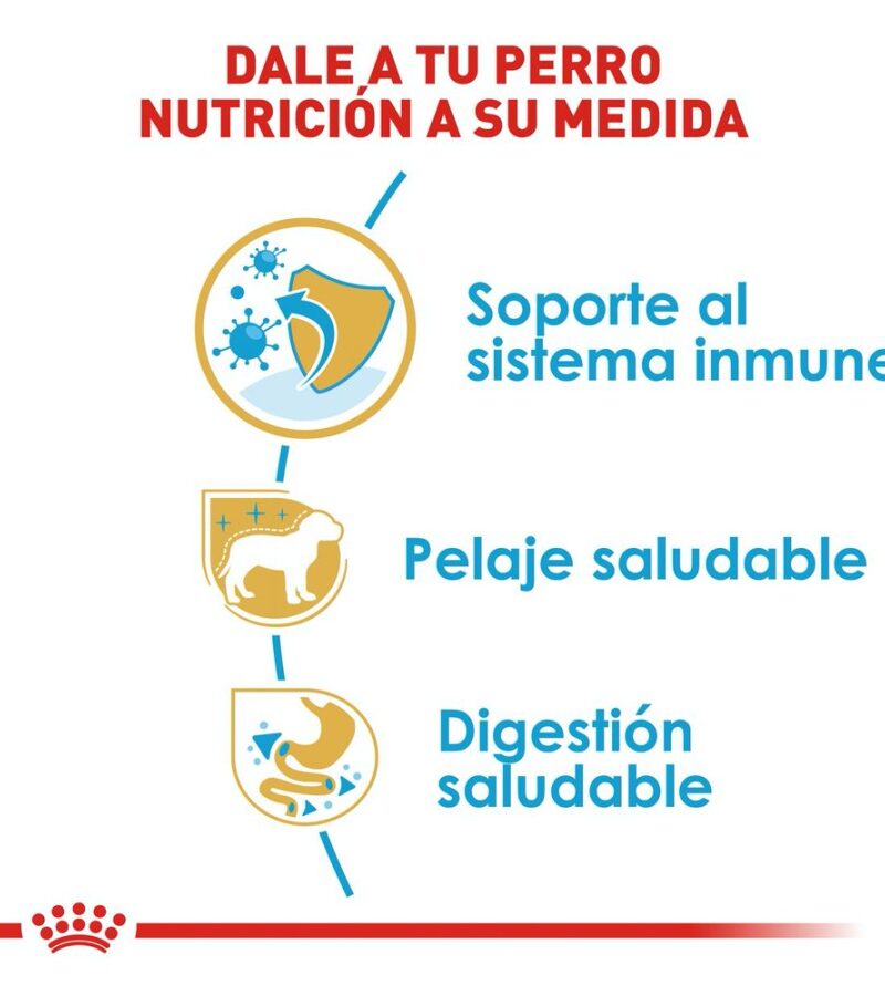 Royal Canin Cachorro Yorkshire Terrier, 1.1 kg - Imagen 7