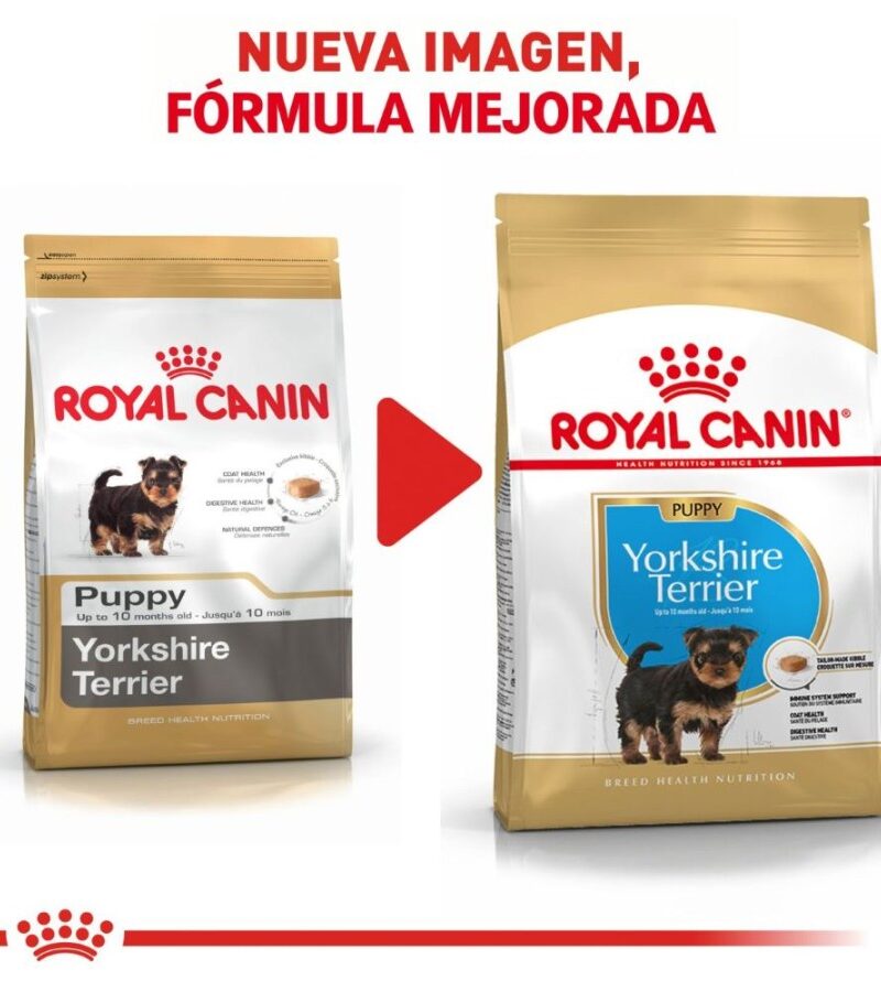 Royal Canin Cachorro Yorkshire Terrier, 1.1 kg