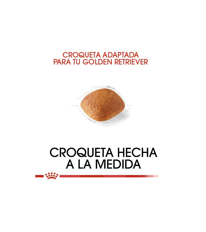 Royal Canin Golden Retriever Adulto 13.6 kg - Imagen 4