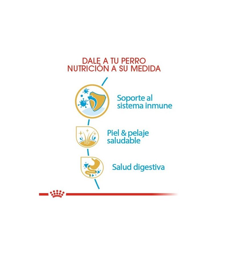 Royal Canin Golden Retriever Puppy 13.6 kg - Imagen 3