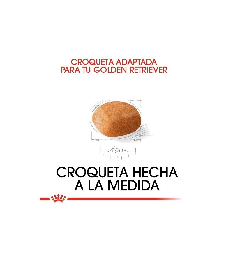 Royal Canin Golden Retriever Puppy 13.6 kg - Imagen 4