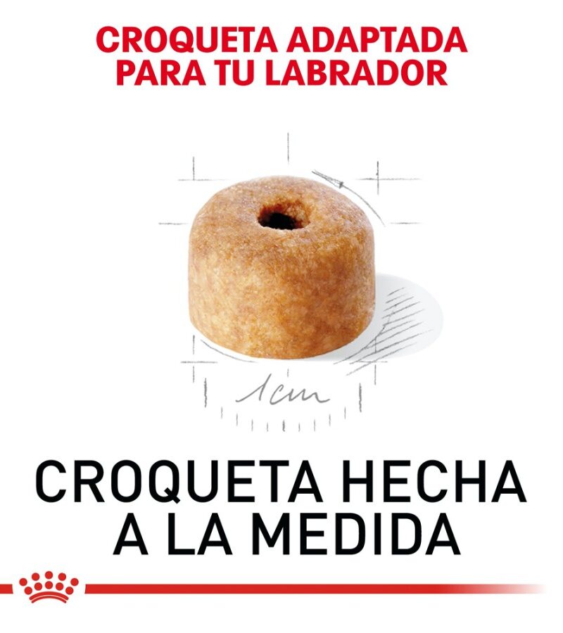 Royal Canin Labrador Retriever Cachorro 13.6 kg - Imagen 2