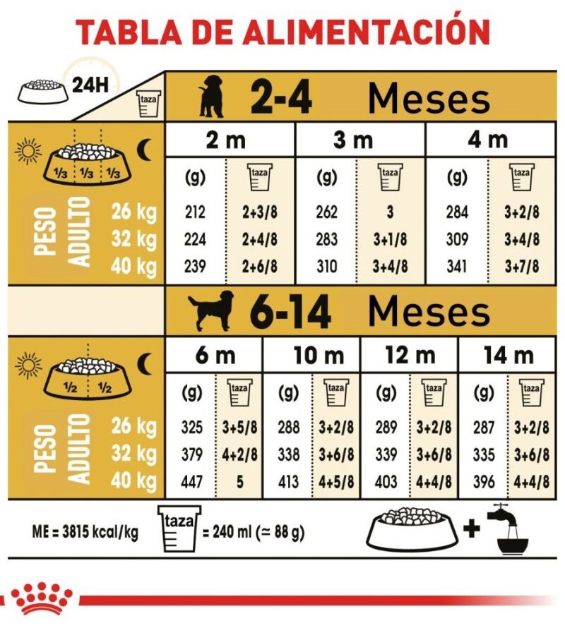 Royal Canin Labrador Retriever Cachorro 13.6 kg - Imagen 3