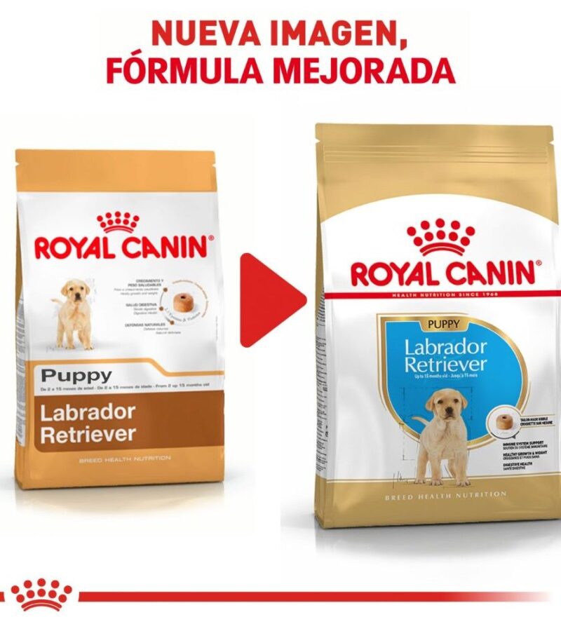 Royal Canin Labrador Retriever Cachorro 13.6 kg - Imagen 4
