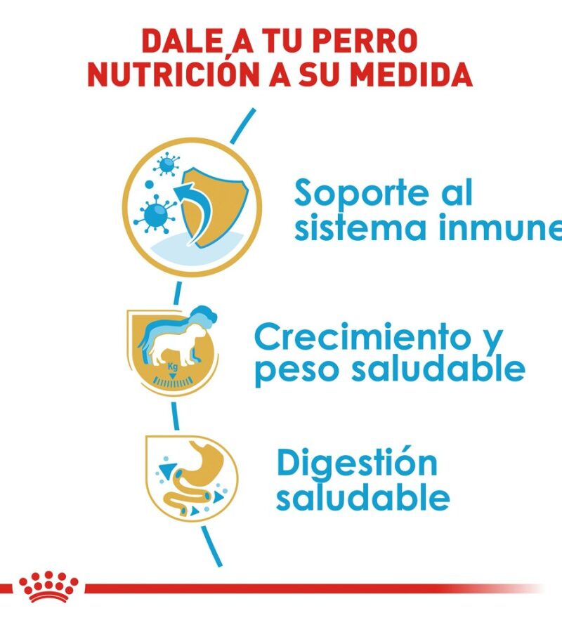 Royal Canin Labrador Retriever Cachorro 13.6 kg - Imagen 7