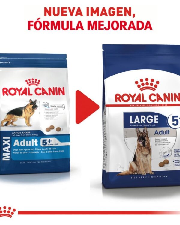 Royal Canin Maxi Large 5+ Senior 13.6 kg - Imagen 2