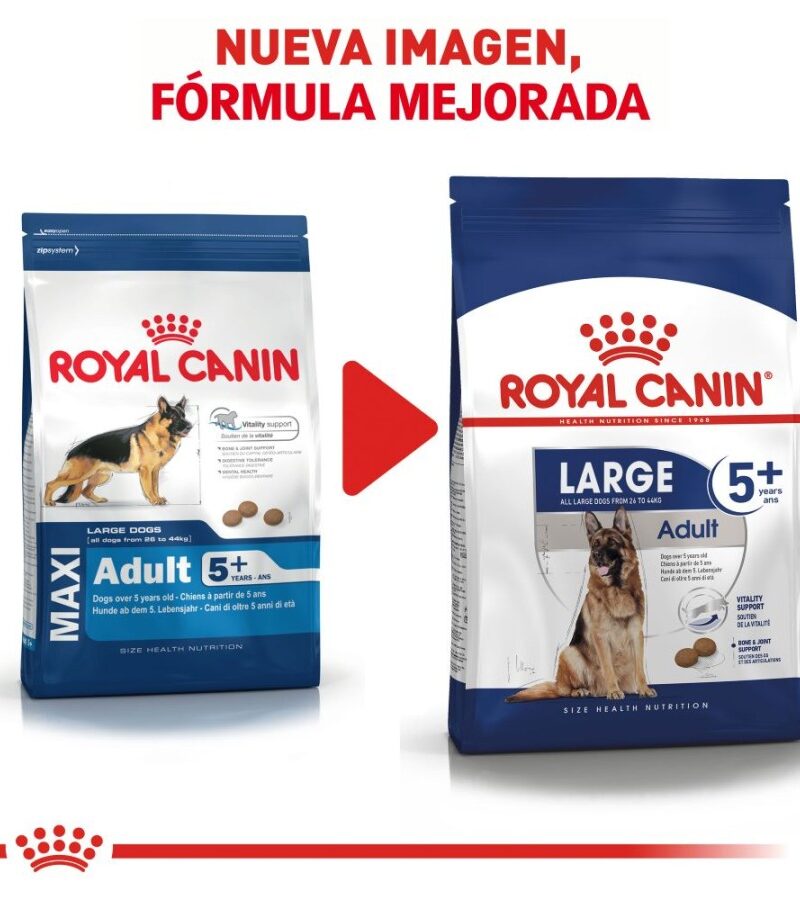 Royal Canin Maxi Large 5+ Senior 13.6 kg - Imagen 2