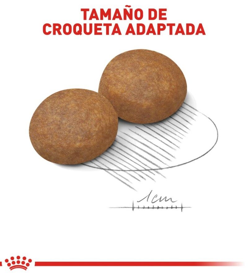 Royal Canin Maxi Large 5+ Senior 13.6 kg - Imagen 4