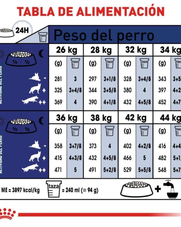 Royal Canin Maxi Large 5+ Senior 13.6 kg - Imagen 6