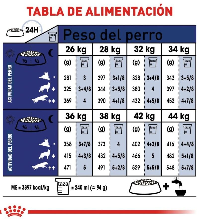 Royal Canin Maxi Large 5+ Senior 13.6 kg - Imagen 6