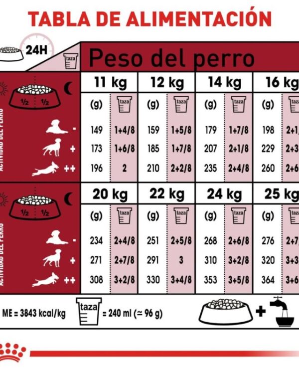 Royal Canin medium adult (Adulto Raza Mediana) 13.6 kg - Imagen 2