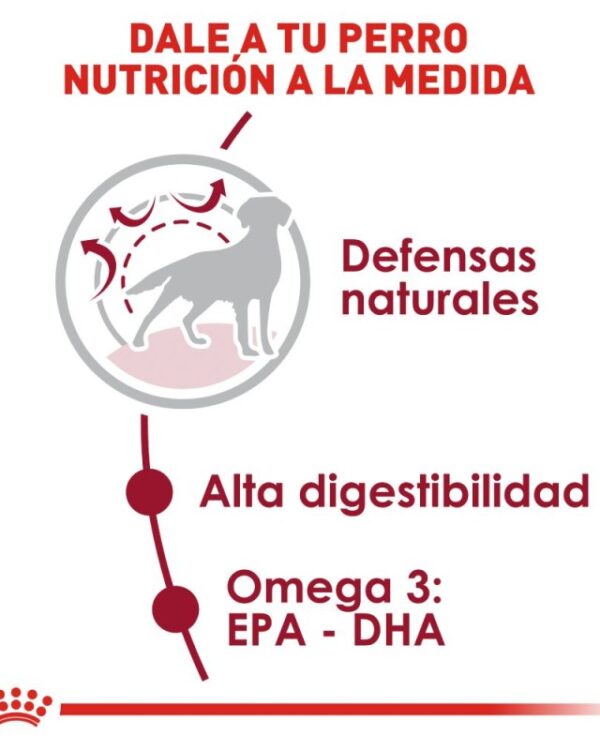Royal Canin medium adult (Adulto Raza Mediana) 13.6 kg - Imagen 4