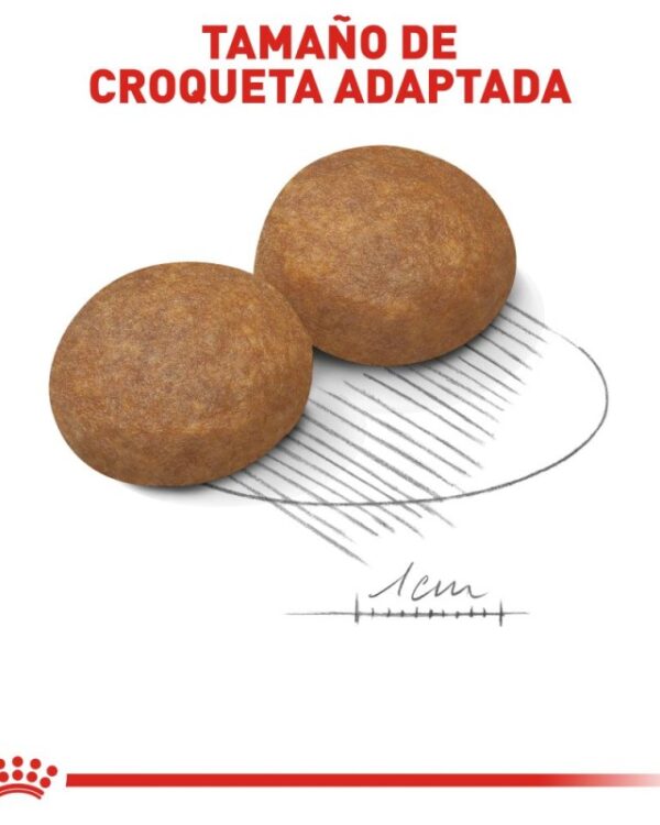 Royal Canin medium adult (Adulto Raza Mediana) 13.6 kg - Imagen 5