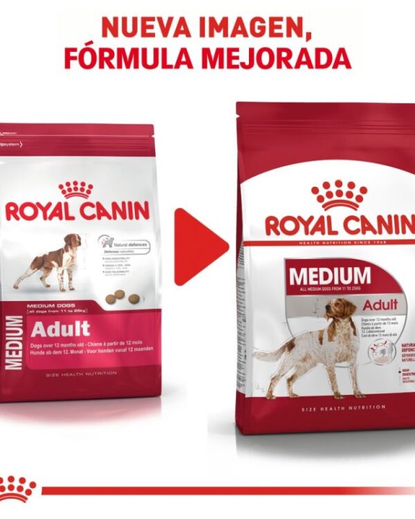 Royal Canin medium adult (Adulto Raza Mediana) 13.6 kg - Imagen 6