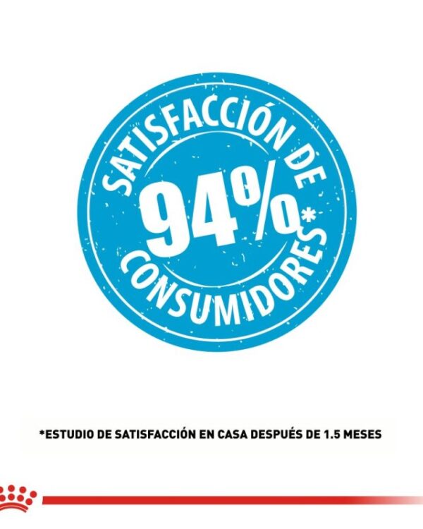 Royal Canin mini puppy (Cachorro Raza Pequeña) 1.1 kg - Imagen 11