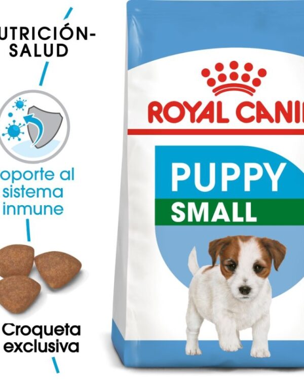 Royal Canin mini puppy (Cachorro Raza Pequeña) 1.1 kg - Imagen 3
