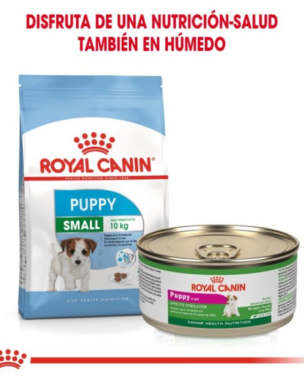 Royal Canin mini puppy (Cachorro Raza Pequeña) 1.1 kg - Imagen 4