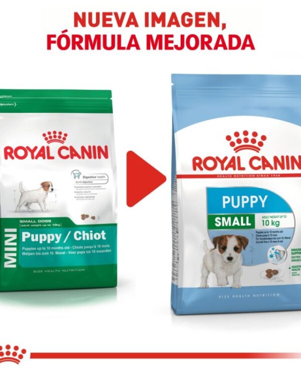 Royal Canin mini puppy (Cachorro Raza Pequeña) 1.1 kg - Imagen 5