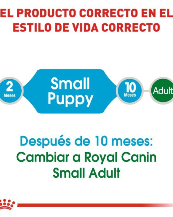 Royal Canin mini puppy (Cachorro Raza Pequeña) 1.1 kg - Imagen 9
