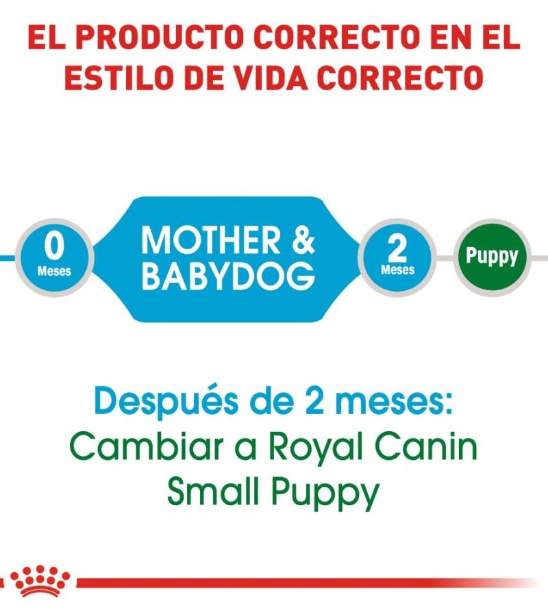 Royal Canin Mother Baby Dog Perro en Gestación/Lactancia/Destete Receta Pollo, 910 g - Imagen 5