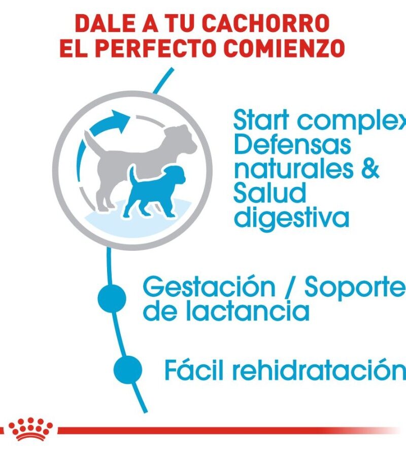 Royal Canin Mother Baby Dog Perro en Gestación/Lactancia/Destete Receta Pollo, 910 g - Imagen 7