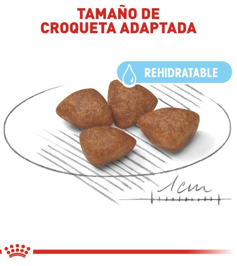 Royal Canin Mother Baby Dog Perro en Gestación/Lactancia/Destete Receta Pollo, 910 g - Imagen 8