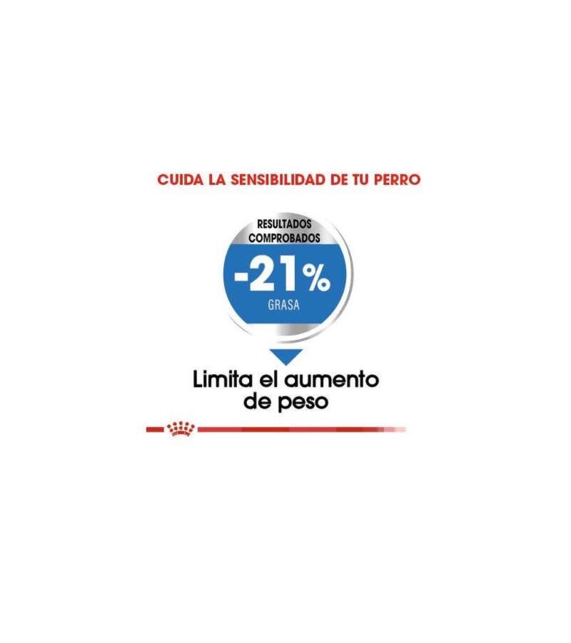 Royal Canin Perro Adulto Medium Weight Care 13.6 kg - Imagen 3