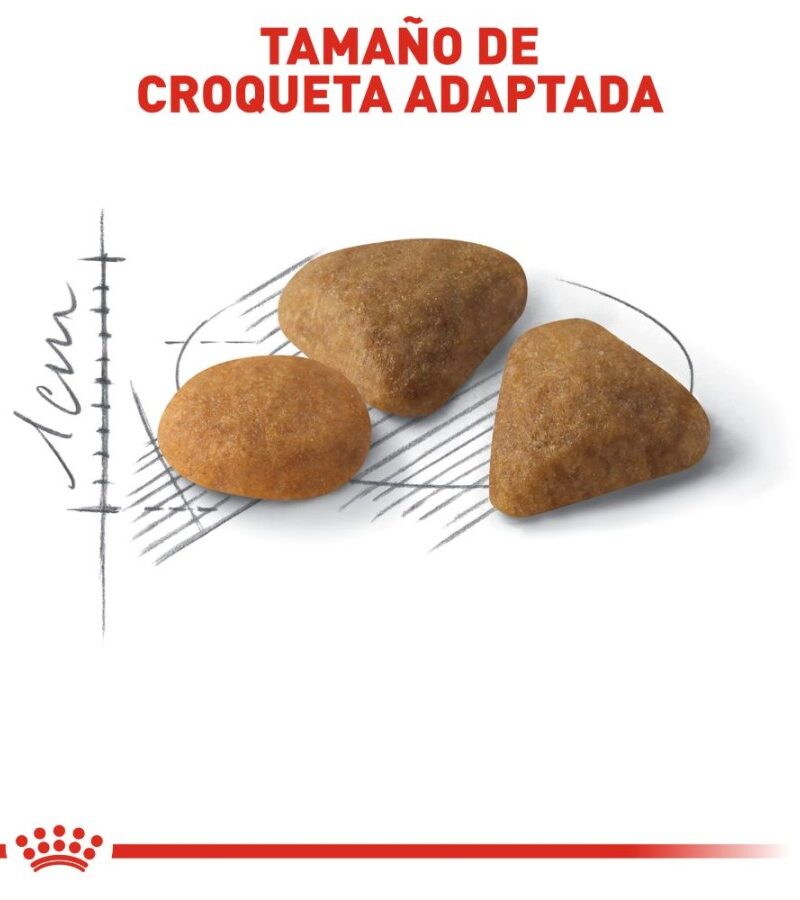 Royal Canin Savor Selective 2.7kg - Imagen 4