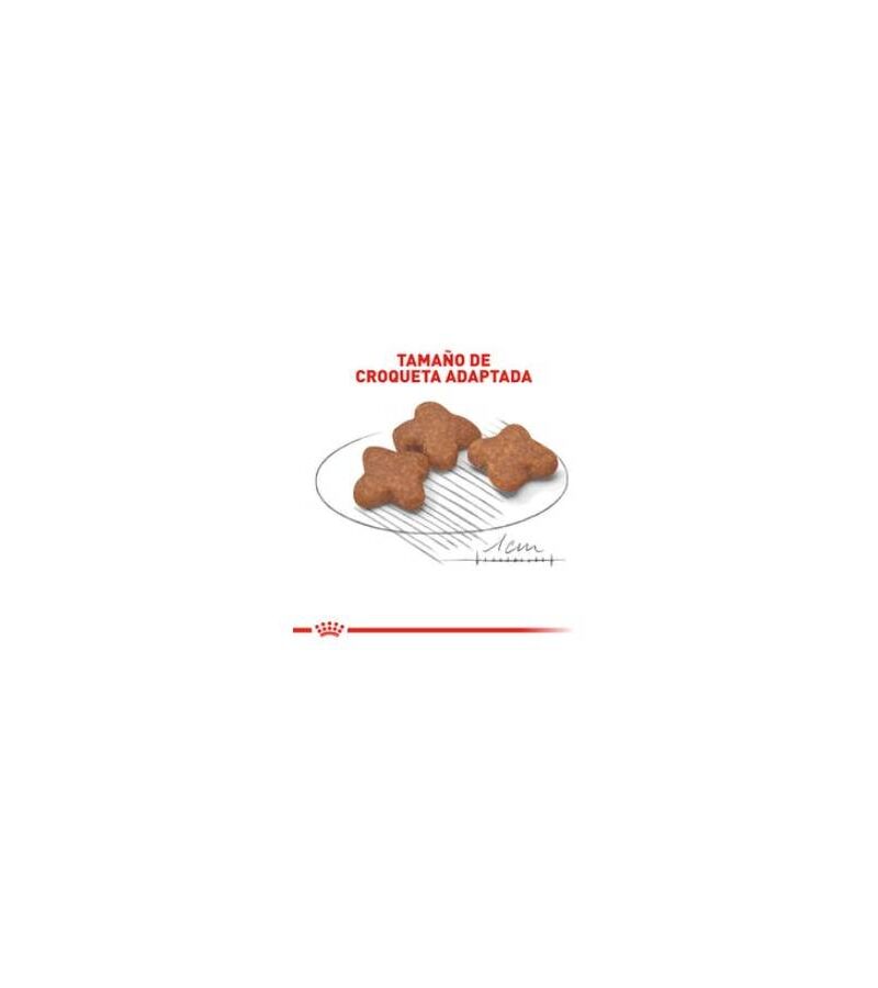 Royal Canin Small Mini Mature +8 1.1 kg - Imagen 3