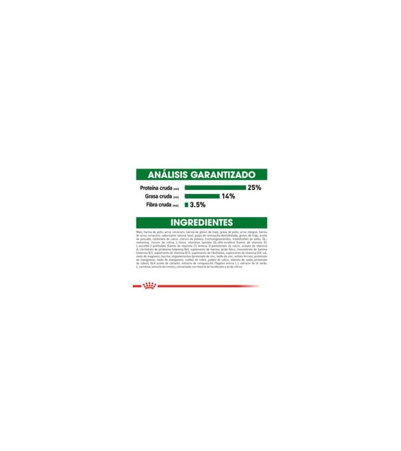 Royal Canin Small Mini Mature +8 1.1 kg - Imagen 5