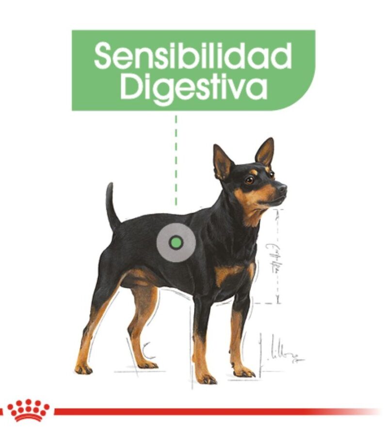 Royal Canin Special Adulto digestive care Raza Pequeña, 1.6 kg - Imagen 4