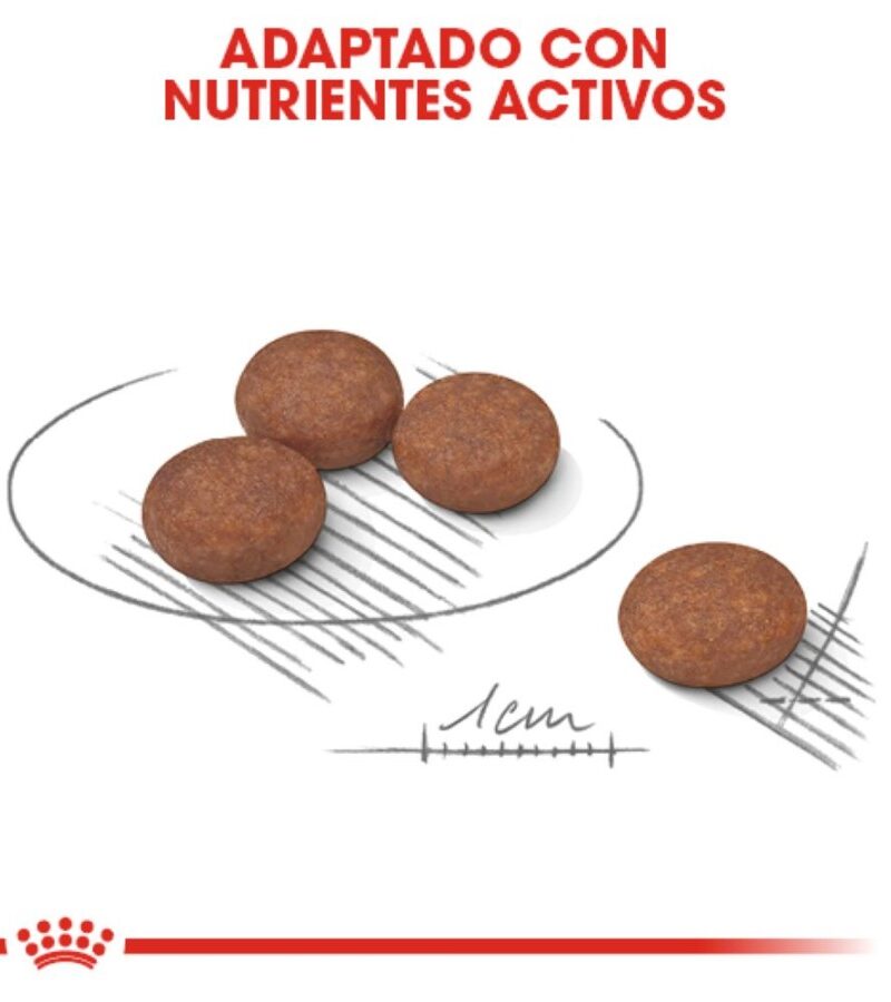 Royal Canin Special Adulto digestive care Raza Pequeña, 1.6 kg - Imagen 6