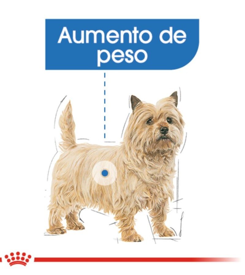Royal Canin Weight Care Perro Adulto Control de Peso Raza Pequeña, 1.1 kg - Imagen 7