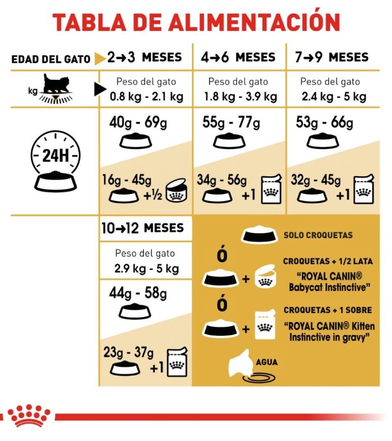 Royal Canin Gatito Persa Receta Pollo, 1.3 kg - Imagen 2