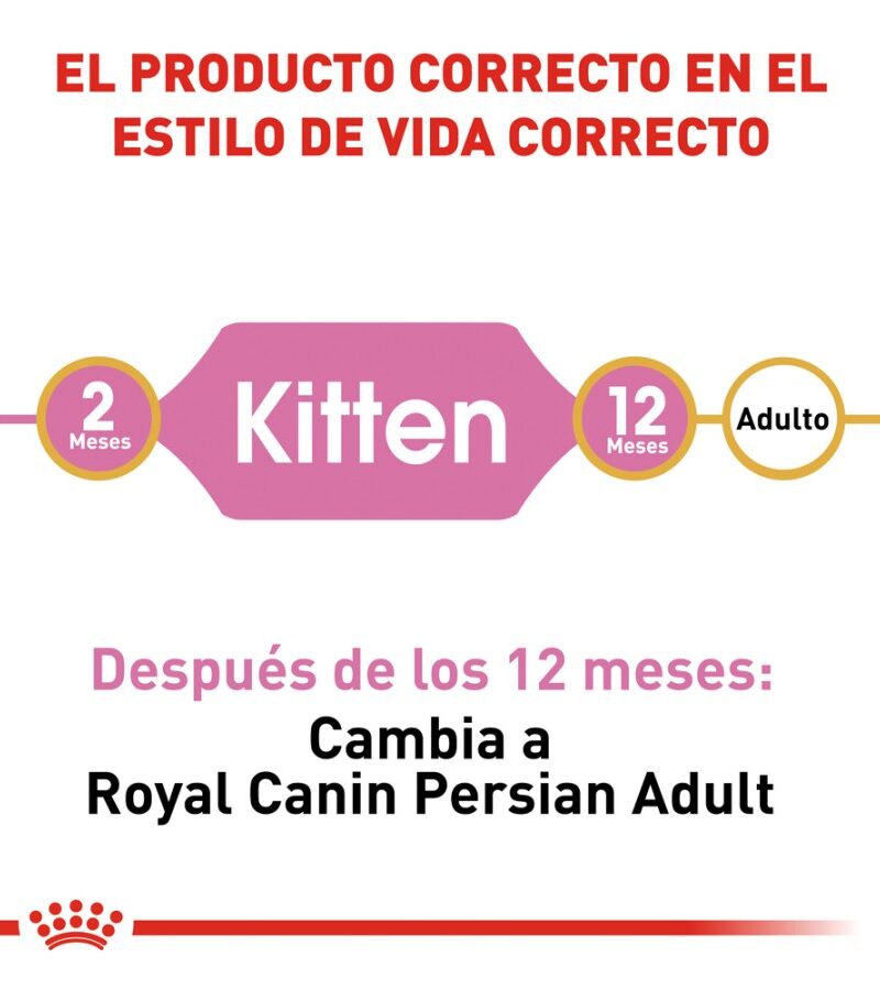 Royal Canin Gatito Persa Receta Pollo, 1.3 kg - Imagen 3