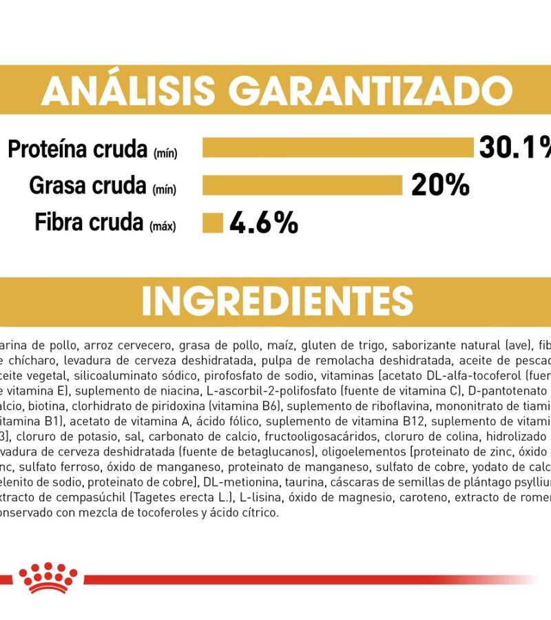 Royal Canin Gatito Persa Receta Pollo, 1.3 kg - Imagen 5
