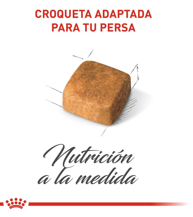 Royal Canin Gatito Persa Receta Pollo, 1.3 kg - Imagen 7