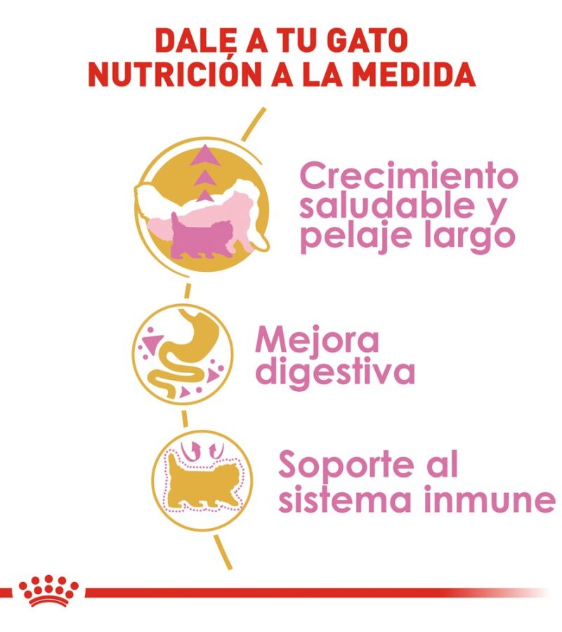 Royal Canin Gatito Persa Receta Pollo, 1.3 kg - Imagen 8