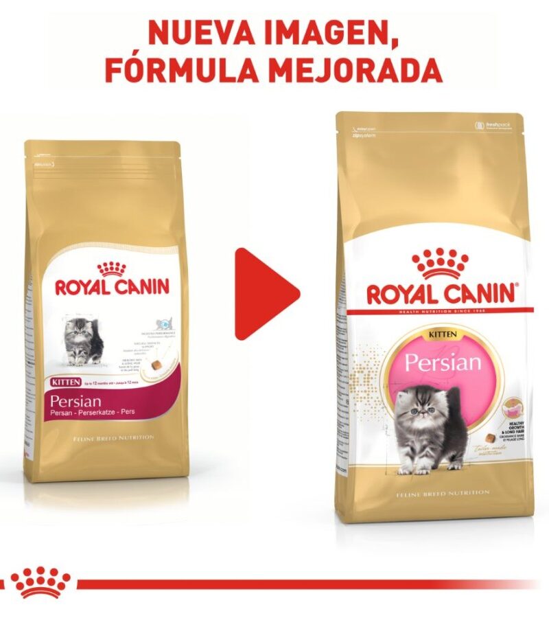 Royal Canin Gatito Persa Receta Pollo, 1.3 kg - Imagen 9