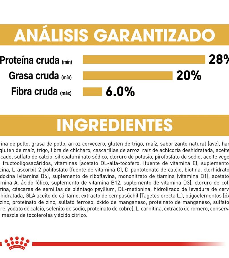 Royal Canin Gato adulto Persa 3.1 kg - Imagen 2