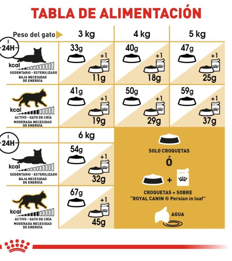 Royal Canin Gato adulto Persa 3.1 kg - Imagen 3