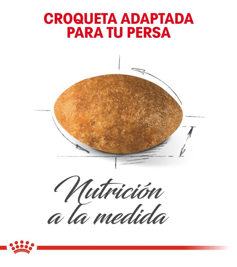 Royal Canin Gato adulto Persa 3.1 kg - Imagen 6