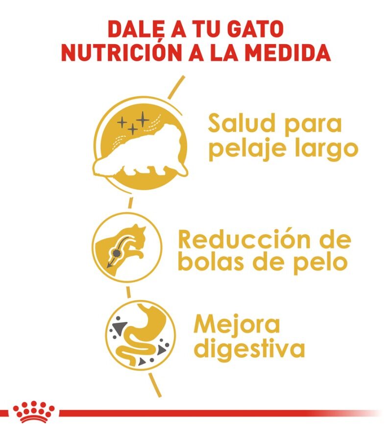 Royal Canin Gato adulto Persa 3.1 kg - Imagen 7