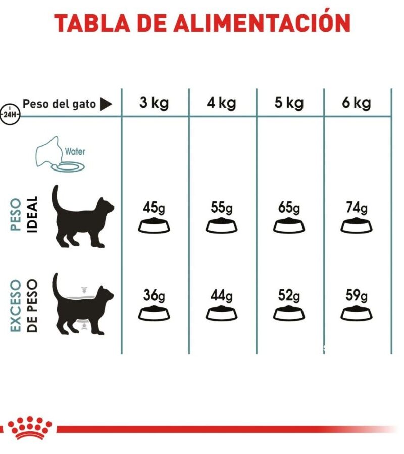 Royal Canin Hairball Gato Adulto Control Bolas de Pelo Receta Pollo, 2.7 kg - Imagen 3