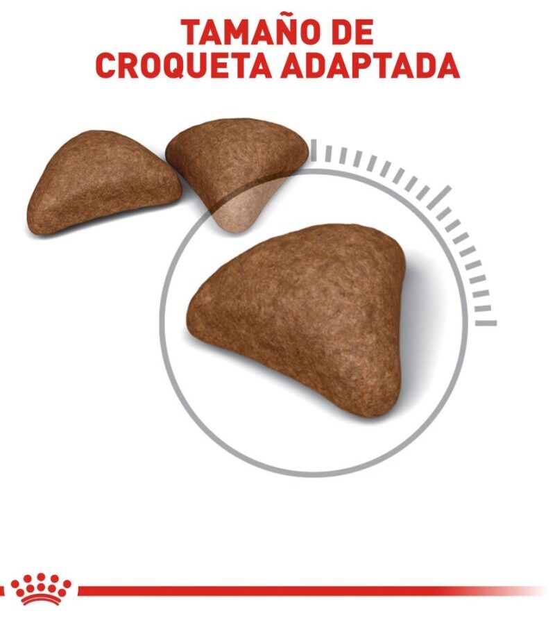 Royal Canin Hairball Gato Adulto Control Bolas de Pelo Receta Pollo, 2.7 kg - Imagen 4