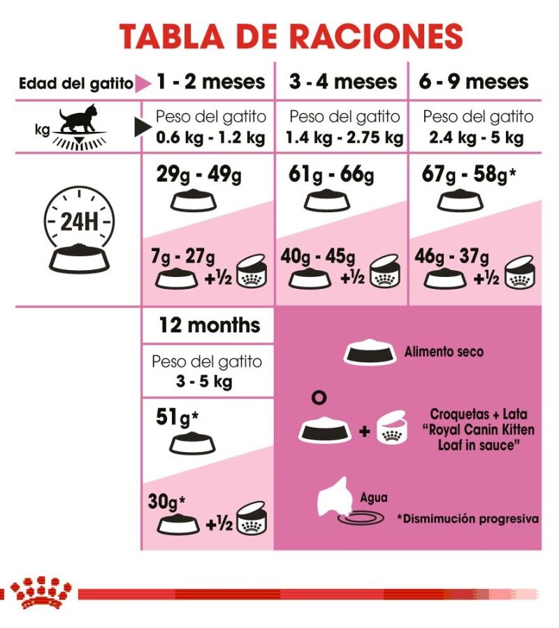 Royal Canin Kitten Gatito 1.5 kg - Imagen 4