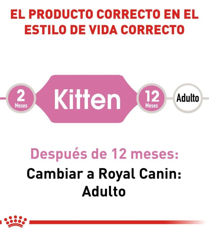 Royal Canin Kitten Gatito 1.5 kg - Imagen 6